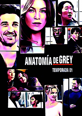 Greys Anatomy 13