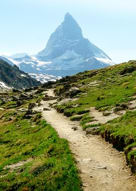 Trail Hiking Natur Wandern