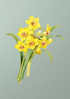 Sacred Lily on Mint Green