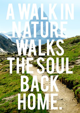 Trail Hiking Natur Wandern