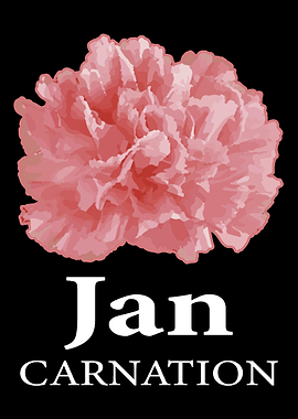 January Carnation Floral D