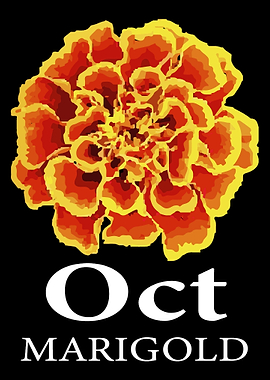 October Marigold Flower Ke