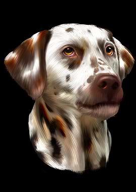 Dalmatian Dog