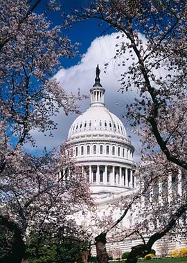 US Capitol Building
