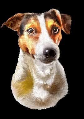 Jack Russell Terrier