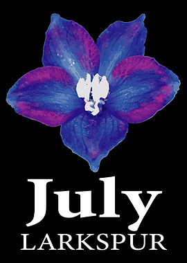 July Larkspur Gardener Or