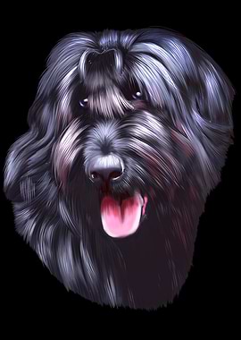 Schnauzer Dog
