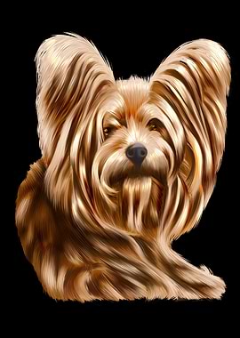 Yorkshire Terrier Yorkie