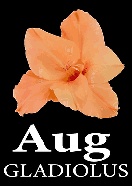 August Gladiolus Flower Sh