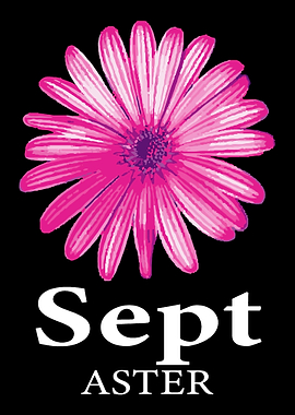 September Aster Flower Far
