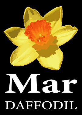 March Daffodil Flower Shop
