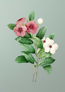 Periwinkle on Mint Green