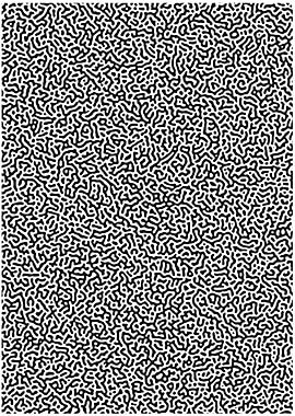 Turing Pattern Black White