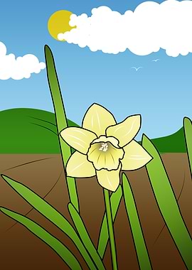Daffodil Illustration
