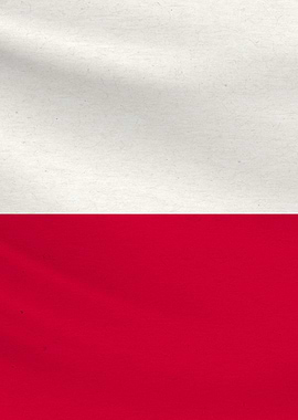 Texas Flag 2 of 3