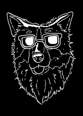 Australian Shepherds Dog S