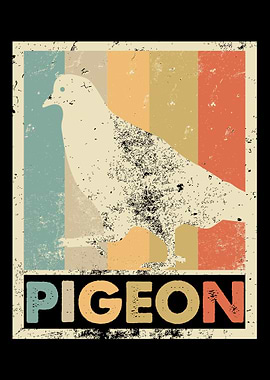 Pigeon