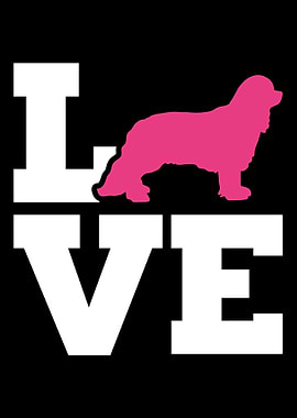 Cavalier King Charles