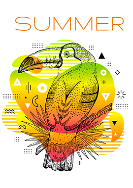 Summer Tucan