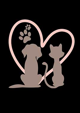 Dog And Cat
