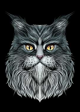 Maine Coon Cat