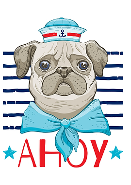 Sailor Pug