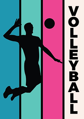 volleyball sport