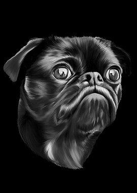 Pug Dog Portrait