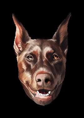 Dobermann Hund