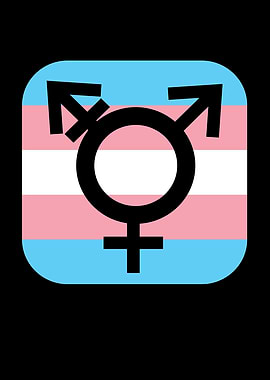 Transgender Pride Flag Gay