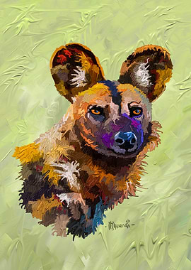 African Wild Dog