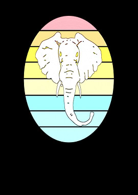 Elephant animal sun