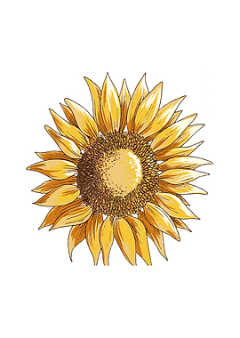 Flower Botany Yellow