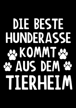 Beste Hunderasse kommt aus