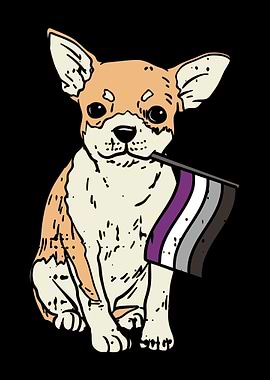 LGBT Chihuahua Asexual