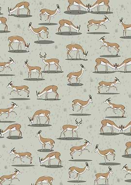Springbok Pattern
