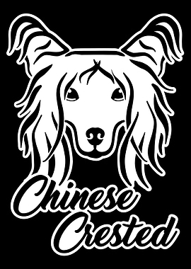 Chinese Crested