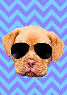 Cute Cool Funny Dog Lover