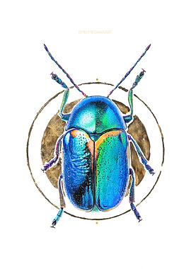 Scarab Beetle