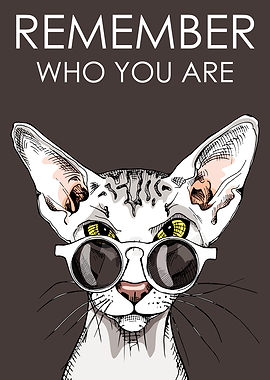 Cute Cool Funny Cat Lover