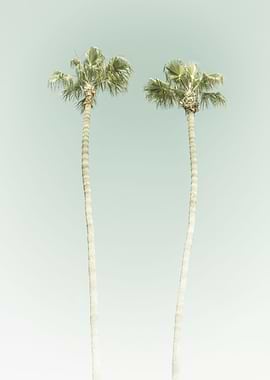 Vintage Palm Trees