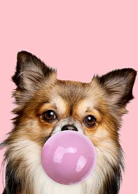 Cute Cool Funny Dog Lover