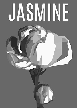 Jasmine Flower