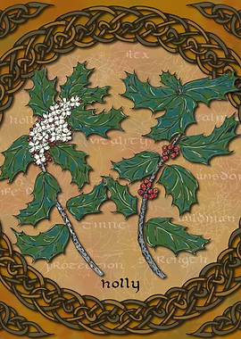 Celtic Holly