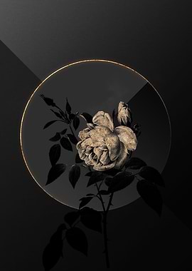 Shadow Rose Black and Gold