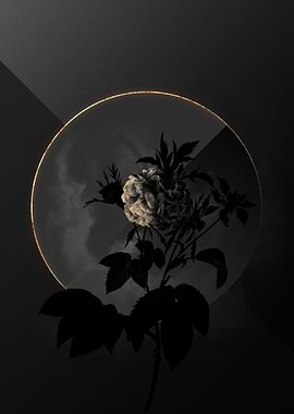 Shadow Rose Black and Gold