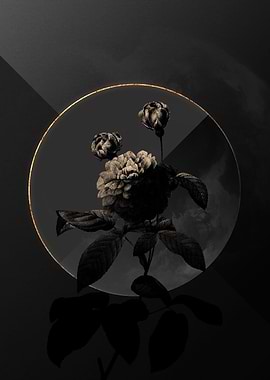 Shadow Rose Black and Gold