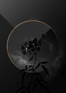 Shadow Rose Black and Gold