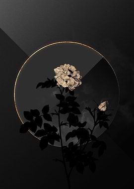 Shadow Rose Black and Gold