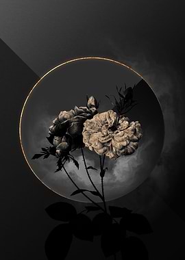 Shadow Rose Black and Gold